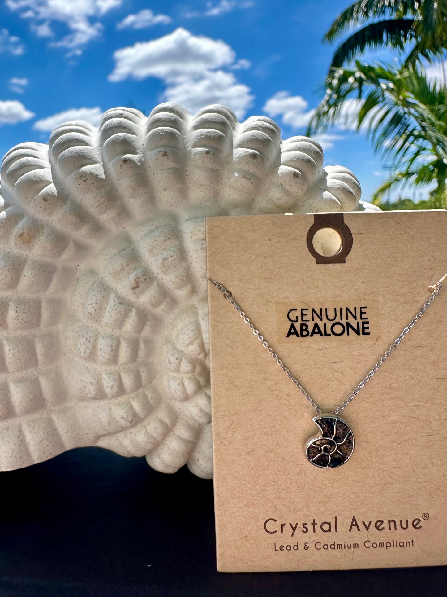 Crystal Avenue Abalone Conch Shell